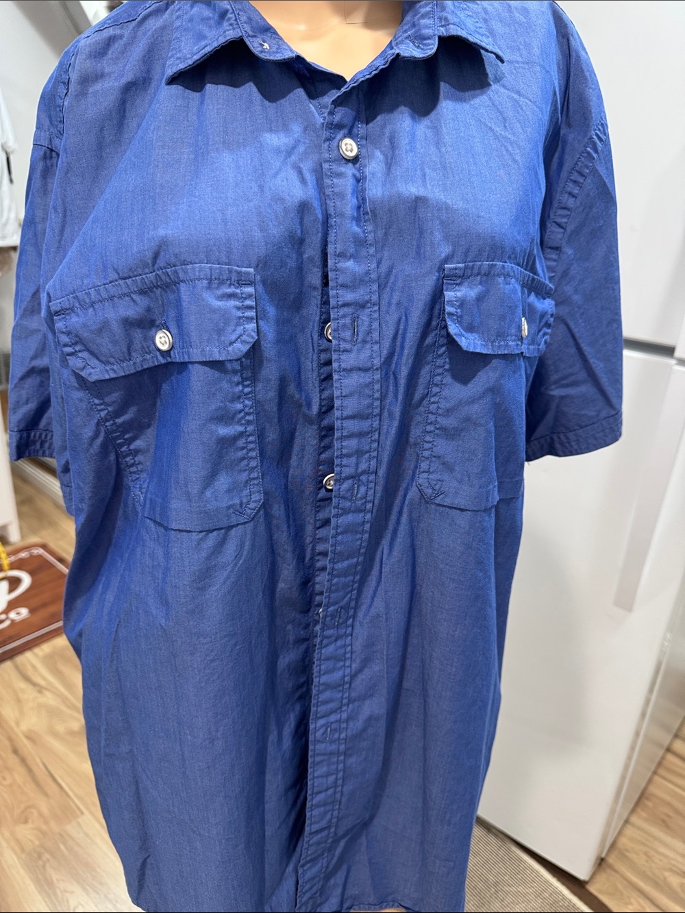 Express Men's Short-Sleeve Button-Up Work Shirt - Blue